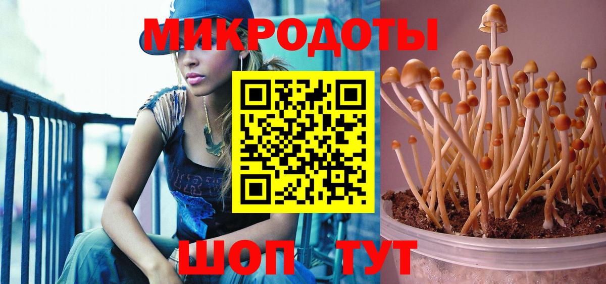 Псилоцибиновые грибы GOLDEN TEACHER Усинск