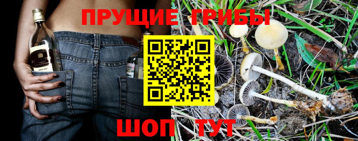 Усинск  Галлюциногенные грибы прущие грибы  Галлюциногенные грибы GOLDEN TEACHER  Вход с VPN 